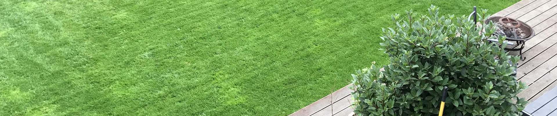 Gardening and Landscaping