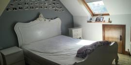 Landlords & Rentals