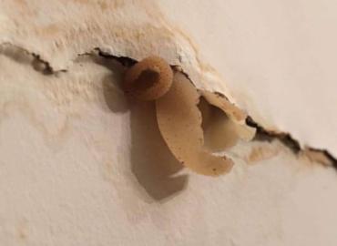 Landlords & Rentals