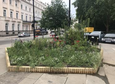 Heritage Garden Display