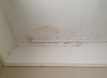 Landlords & Rentals