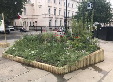 Heritage Garden Display