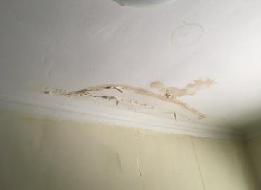 Landlords & Rentals