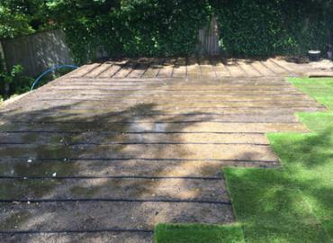 Gardening and Landscaping