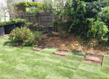Gardening and Landscaping
